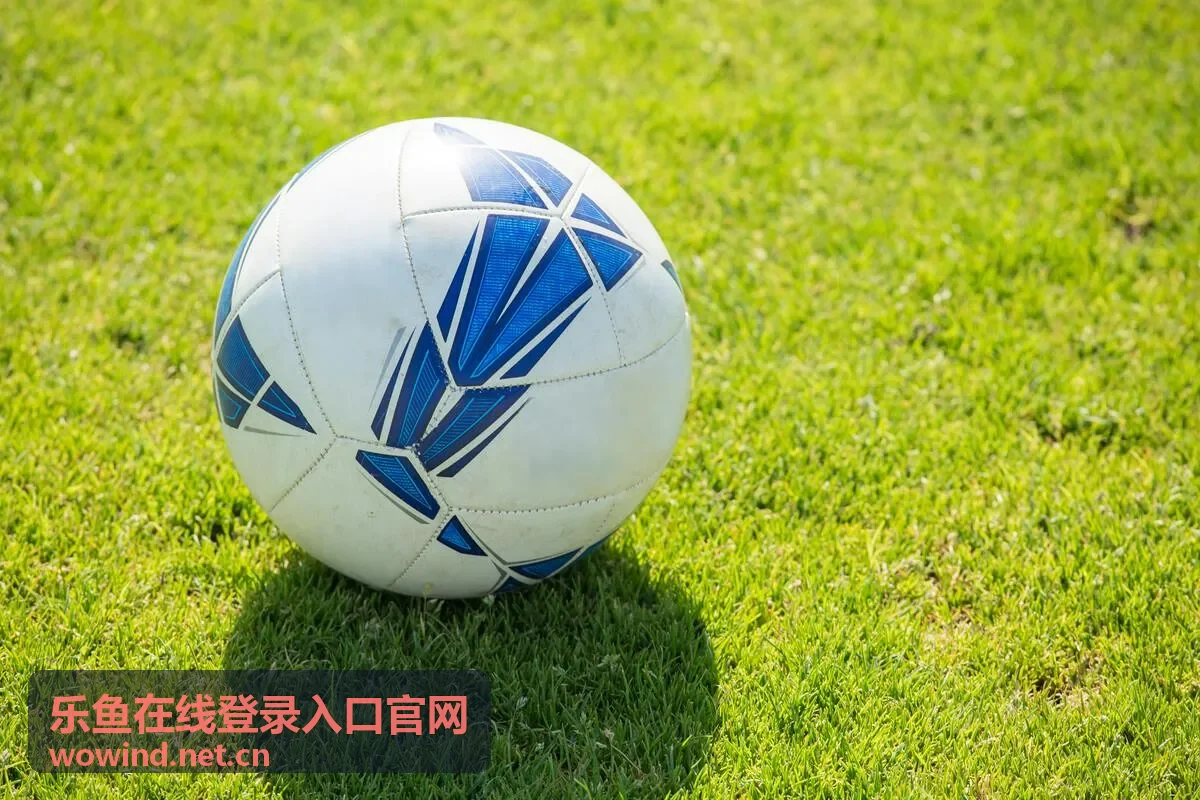 在手机上访问乐鱼在线登录入口的移动场景