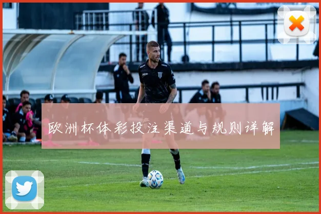 欧洲杯体彩投注渠道与规则详解