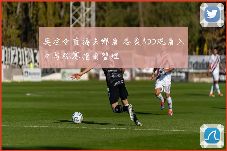 奥运会直播去哪看 各类App观看入口与观赛指南整理