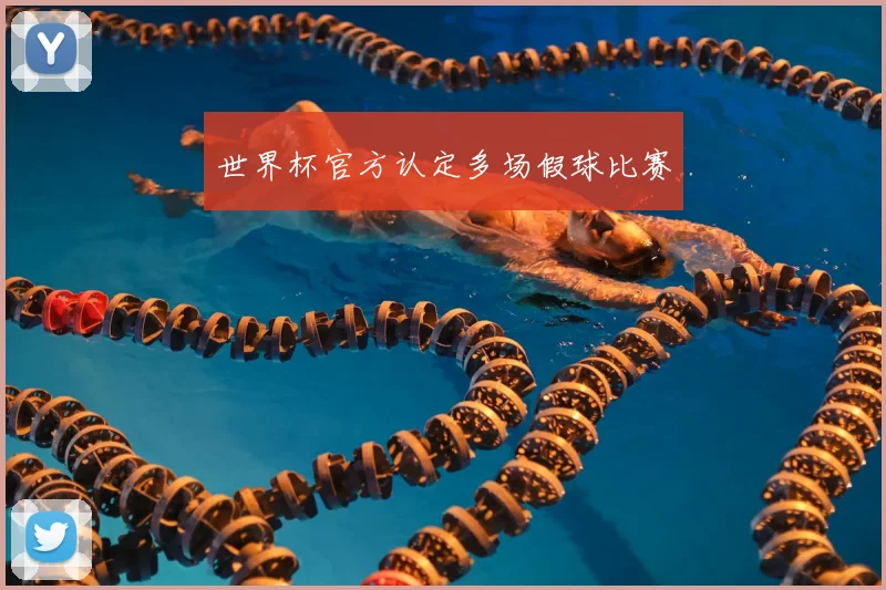 世界杯官方认定多场假球比赛